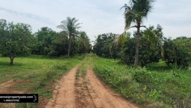 Land For Sale Near Me: Find Your Perfect Property Today